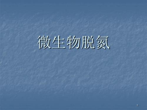 微生物脱氮原理ppt课件