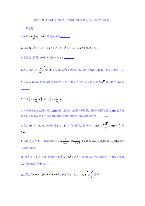 上海市七宝中学2019届高三上学期12月月考数学试题