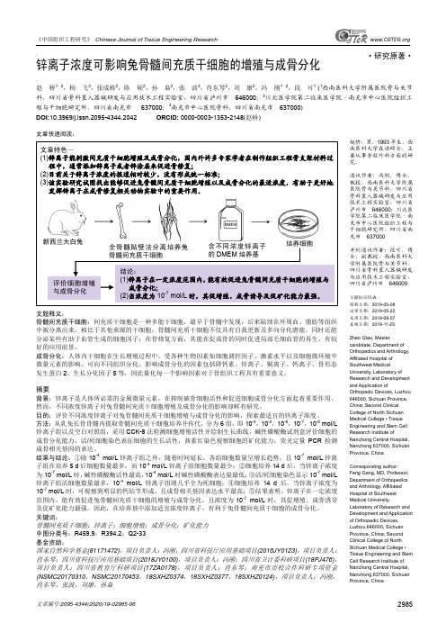 锌离子浓度可影响兔骨髓间充质干细胞的增殖与成骨分化