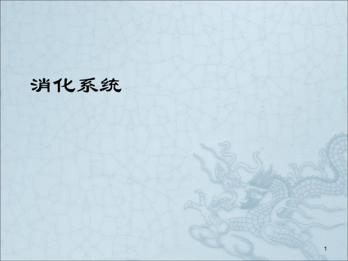 小肠解剖及临床PPT课件