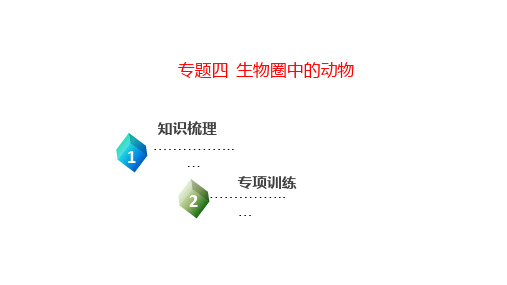 2020年中考生物复习-专题四  生物圈中的动物   课件(共32张)