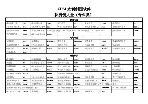 ZDM快捷键大全(专业功能类)