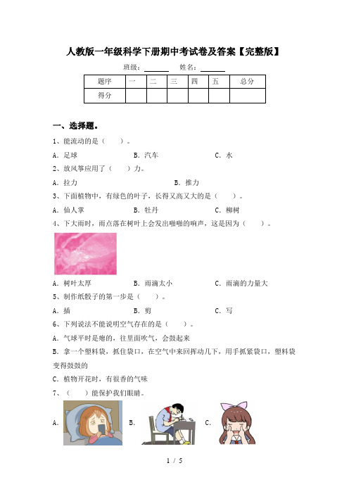 人教版一年级科学下册期中考试卷及答案【完整版】