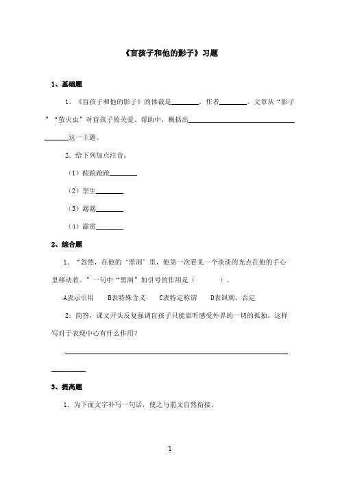 最新鲁教版(五四制)小学语文六年级上册《盲孩子和他的影子》习题.doc(精品)