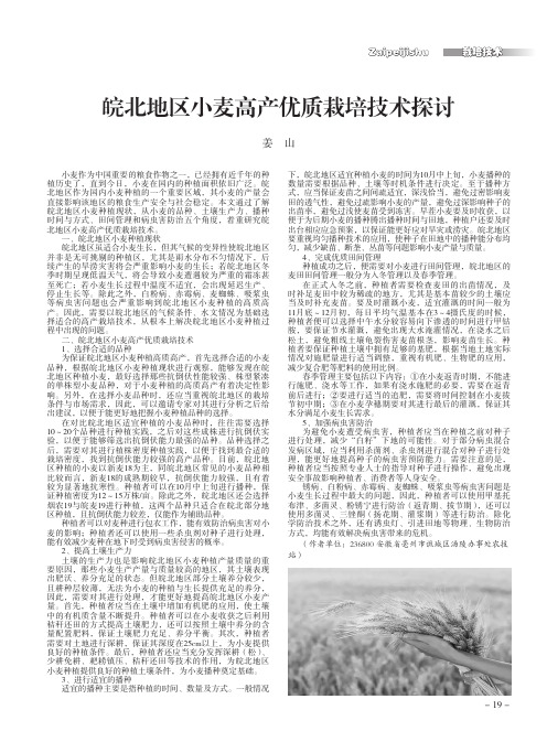 皖北地区小麦高产优质栽培技术探讨
