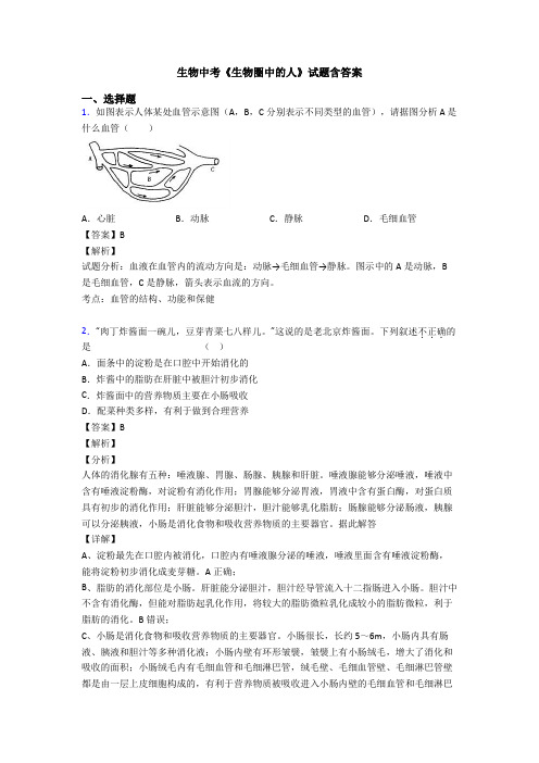 生物中考《生物圈中的人》试题含答案