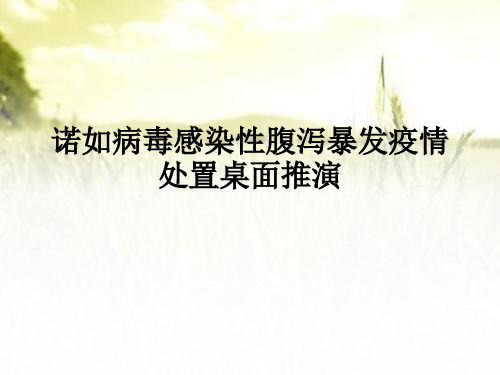 诺如病毒感染性腹泻暴发疫情处置桌面 PPT