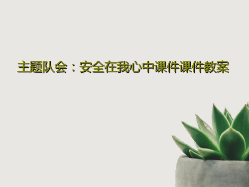 主题队会：安全在我心中课件课件教案共32页文档