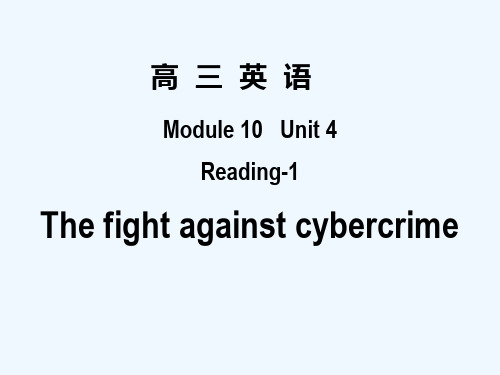 The fight against cybercrime PPT课件