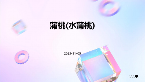 蒲桃(水蒲桃)