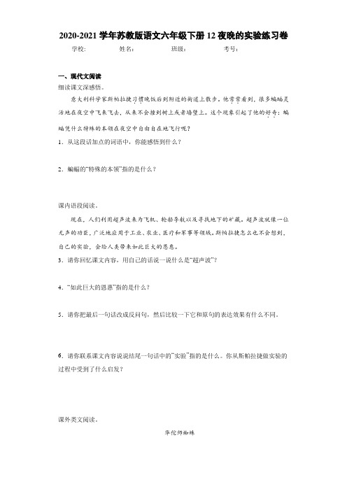 2020-2021学年苏教版语文六年级下册12夜晚的实验练习卷