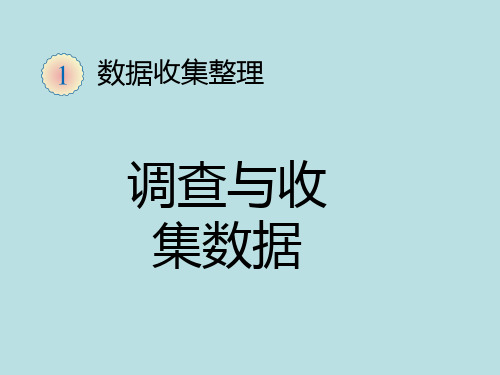 《数据收集整理》(完美版)PPT课件1