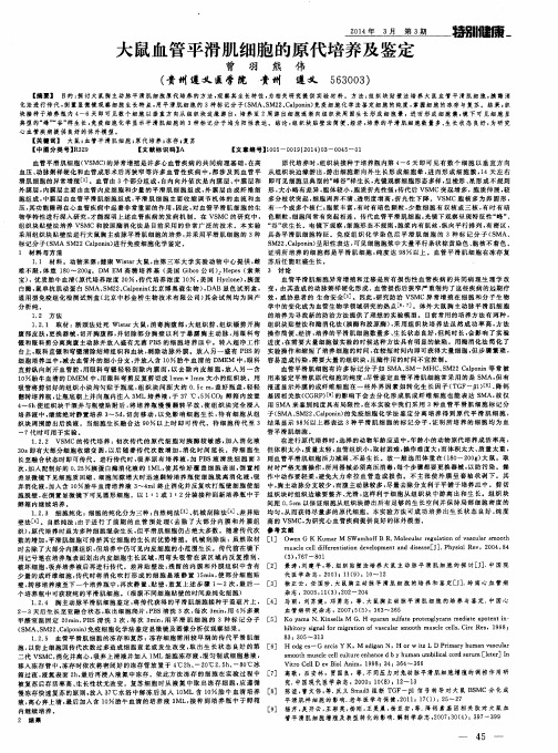 大鼠血管平滑肌细胞的原代培养及鉴定