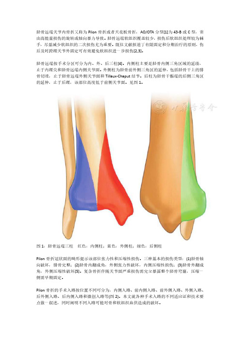 (仅供参考)Pilon骨折的手术入路解析