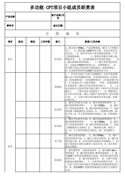 多功能 CFT项目小组成员职责表