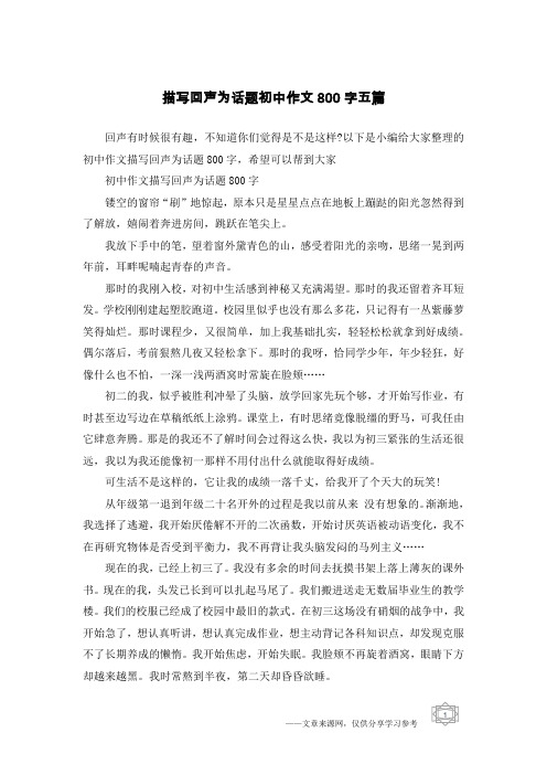 描写回声为话题初中作文800字五篇