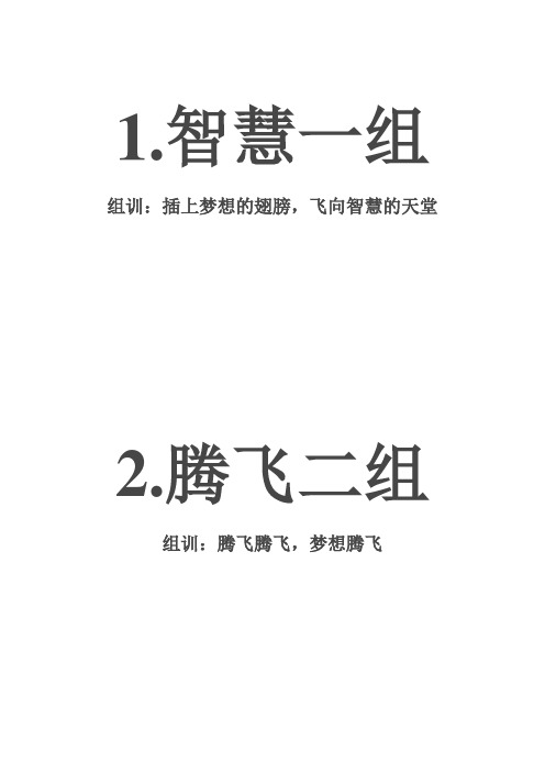 小组名称和口号
