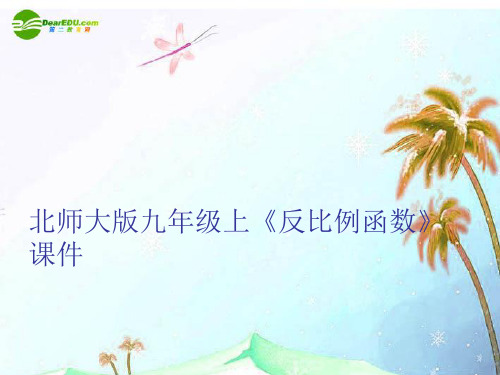九年级数学上册《反比例函数》课件 北师大版
