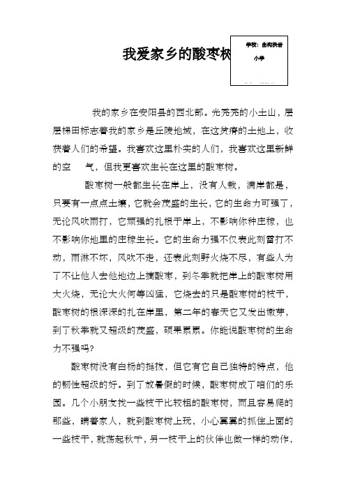 我爱家乡的酸枣树