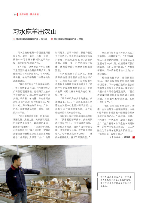 习水麻羊出深山