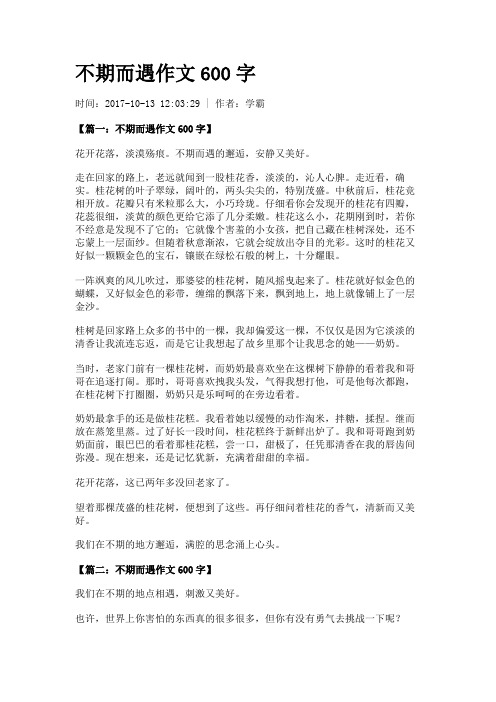 不期而遇作文600字