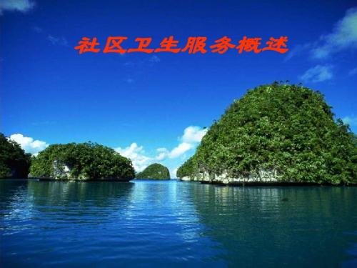 社区卫生服务概述s