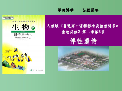 高中生物 2.3 伴性遗传说课课件 新人教版必修2