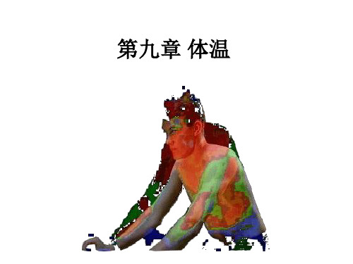 体温PPT课件