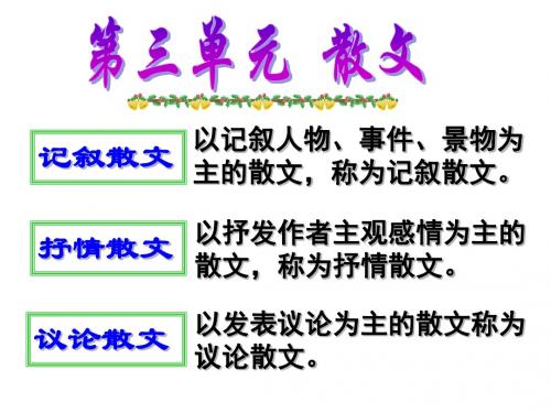 《窗》正式版