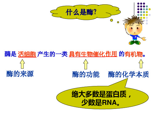 酶的特性ppt优质课课件