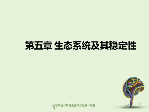 生态系统与其稳定性高三生物一轮复习