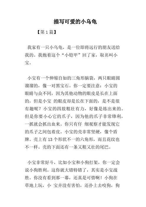 描写可爱的小乌龟