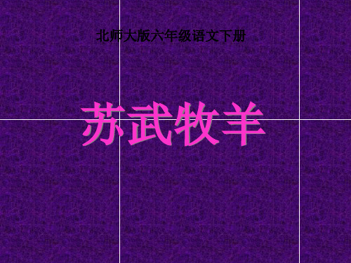 《苏武牧羊》PPT课件5
