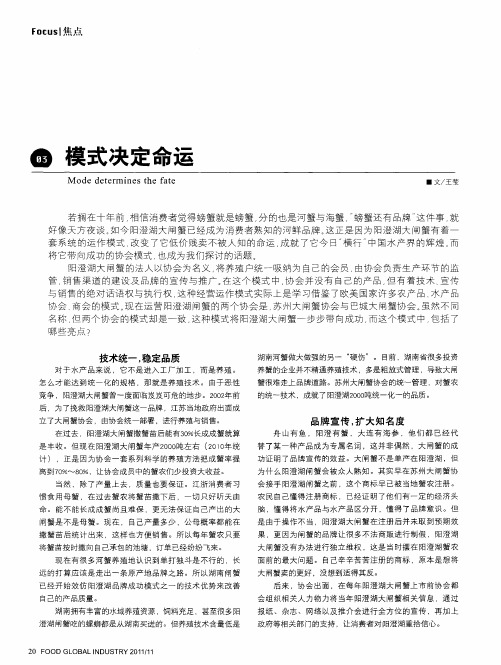 模式决定命运