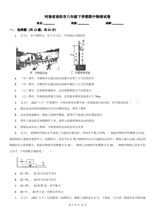 河南省洛阳市八年级下学期期中物理试卷