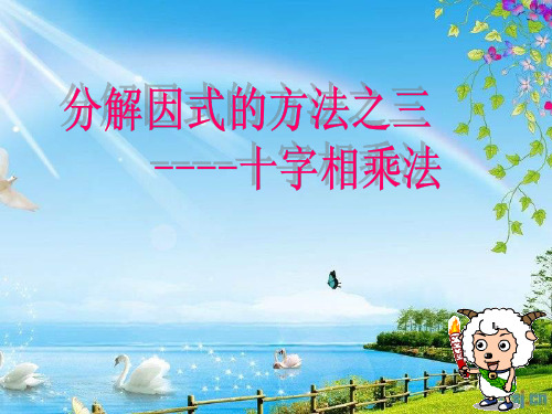 14.3因式(十字相乘法和分组法)讲解