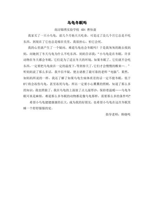 小学生科技小论文：乌龟冬眠吗