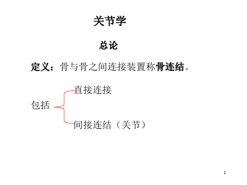 骨连接(new)