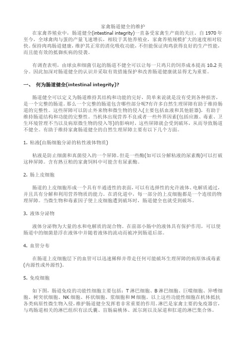 家禽肠道健全的维护