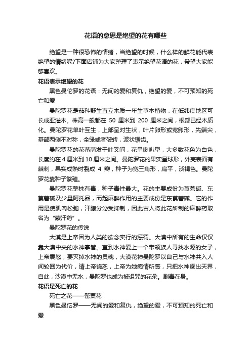 花语的意思是绝望的花有哪些