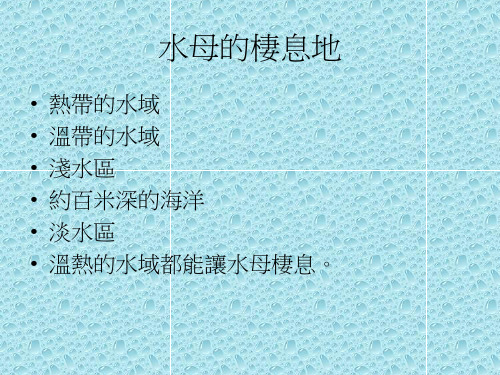 水母的介绍