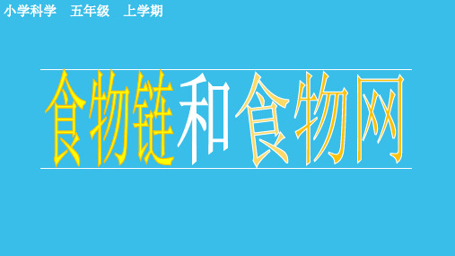 五年级上册科学课件- 1.5 食物链和食物网｜教科版 (共11张PPT)(1)