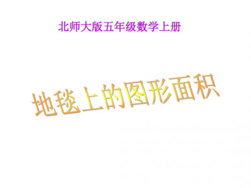 五年级数学地毯上的图形面积