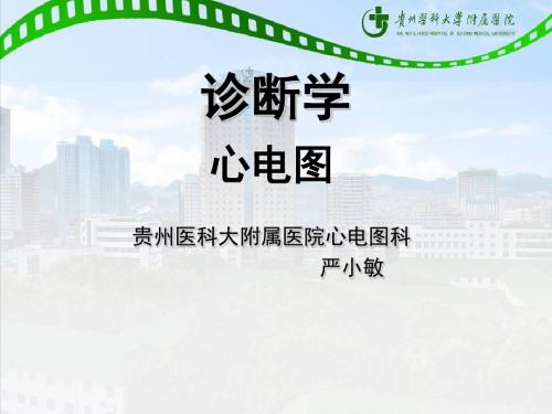 诊断学心电图