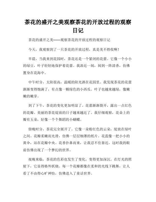 小学三年级作文茶花的盛开之美观察茶花的开放过程的观察日记