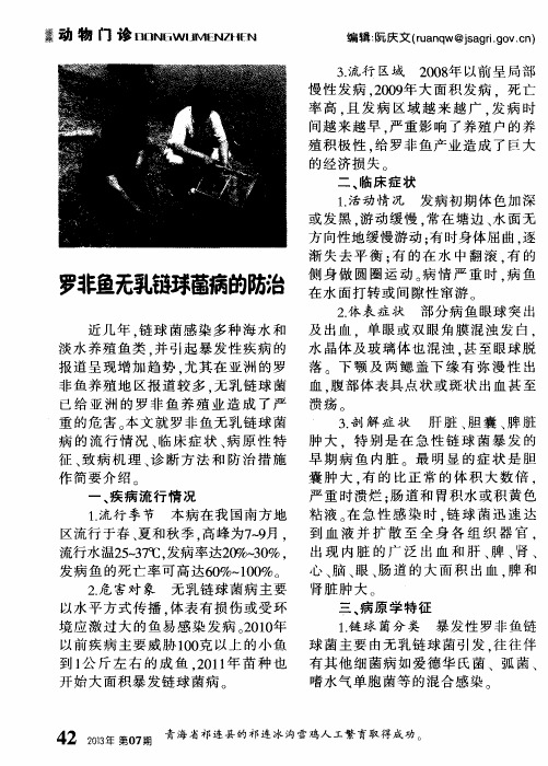 罗非鱼无乳链球菌病的防治