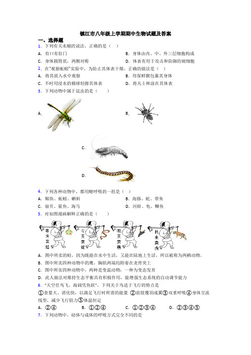 镇江市八年级上学期期中生物试题及答案