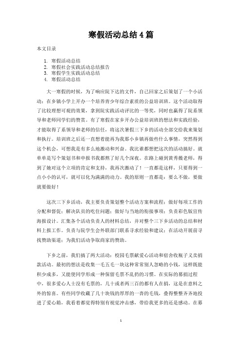 寒假活动总结4篇