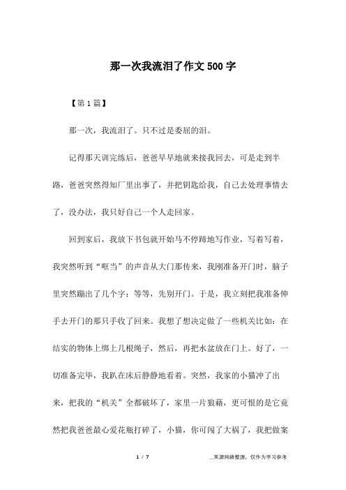 那一次我流泪了作文500字