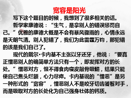 高中议论文写作之开篇破题ppt